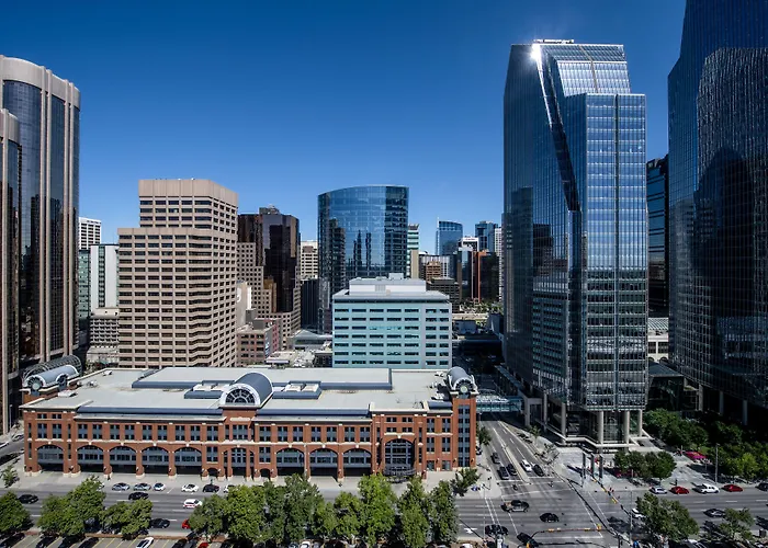 Pets Allowed Hotel Residence Inn By Marriott Calgary Downtown/Beltline District