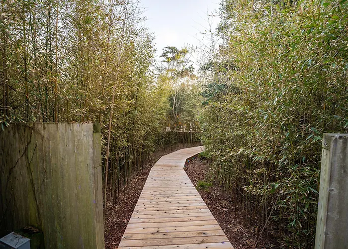 The Madison Fire Island Pines