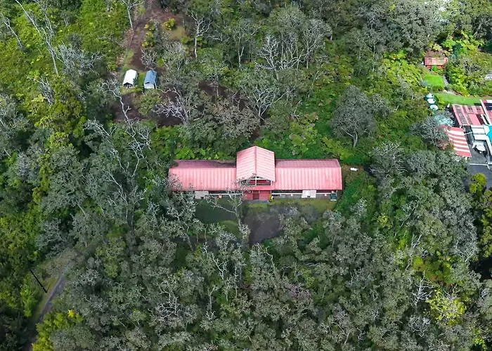 Volcano Forest Inn