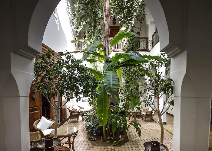 Les Bougainvilliers