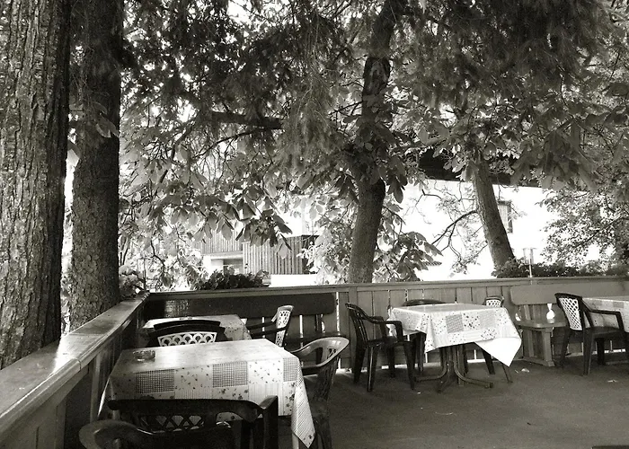 Haustierfreundliches Hotel: Gasthaus Gasteiger