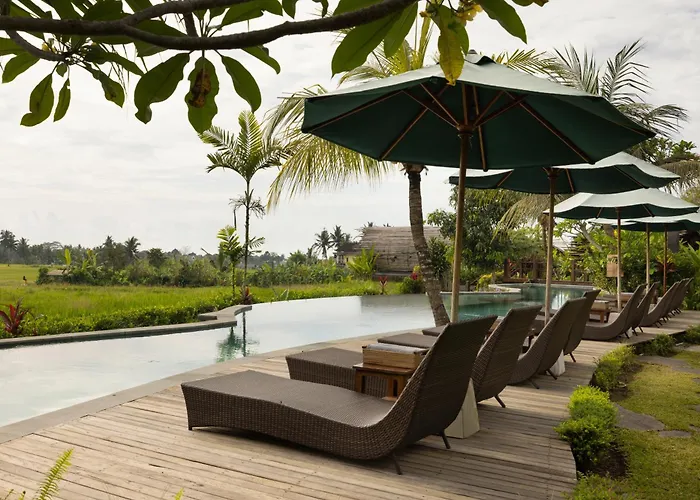 Vacation rental: Beehouse Dijiwa Ubud