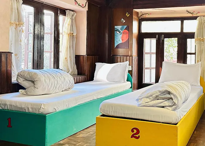 Yog - Best Social Backpacker In Thamel -Rooftop-Capsule Bunks Ac