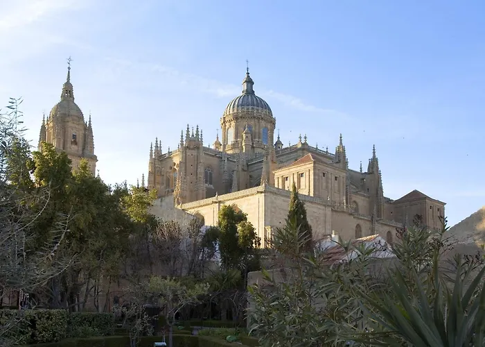 Pet Friendly hotel: Ibis Salamanca