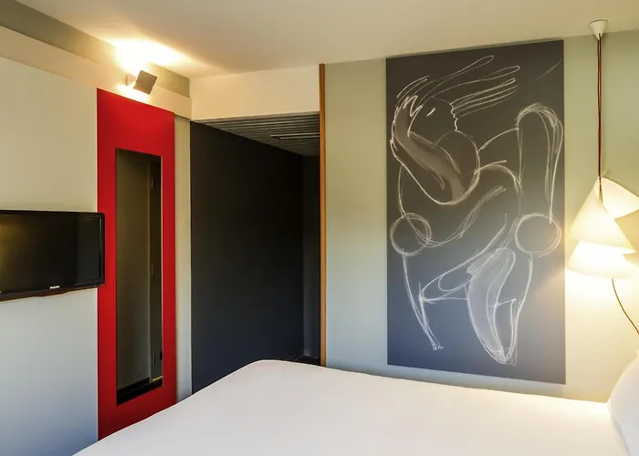Ibis Sao Joao