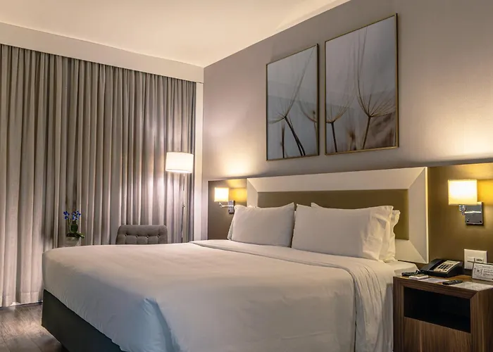 Hotel con vistas: Holiday Inn Belo Horizonte Savassi By Ihg