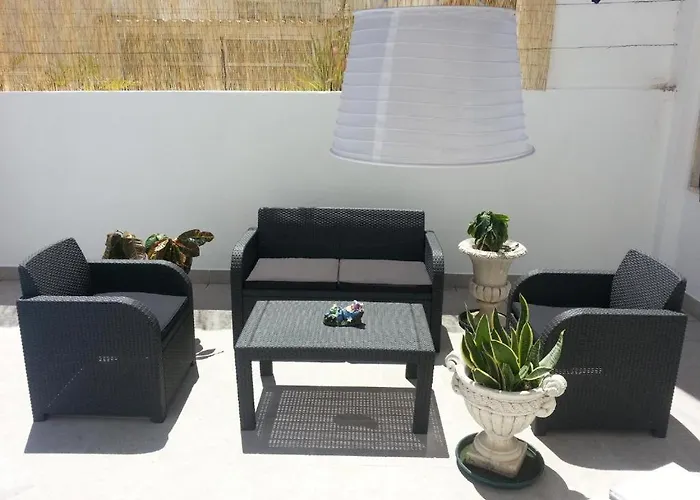 Dog friendly hotels Lemon Tree s