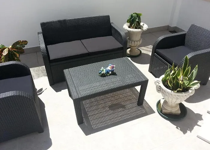 Dog friendly hotels Lemon Tree s