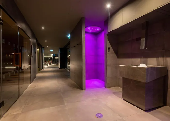 Dog friendly hotels Hilton Porto Gaia