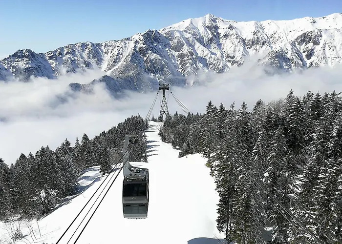 Nakao Kogen Kazaguruma