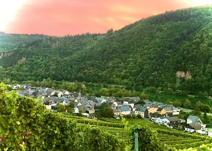 Weingut Dehren