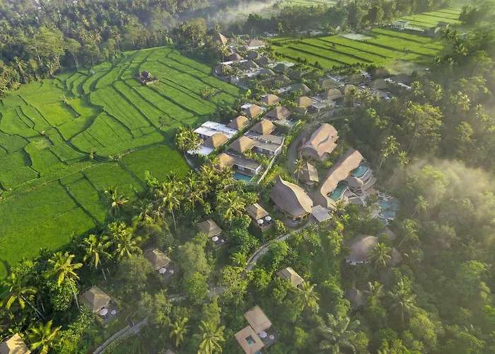 Pets Allowed Hotel K Club Ubud