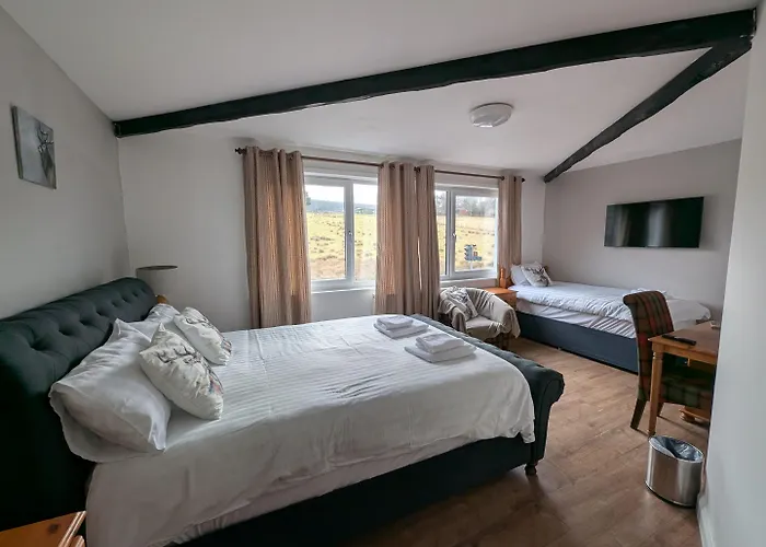 Bed and Breakfast Old North
