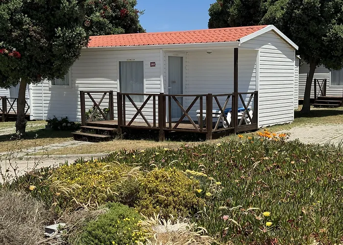 Animaux admis Parque De Campismo Orbitur Guincho