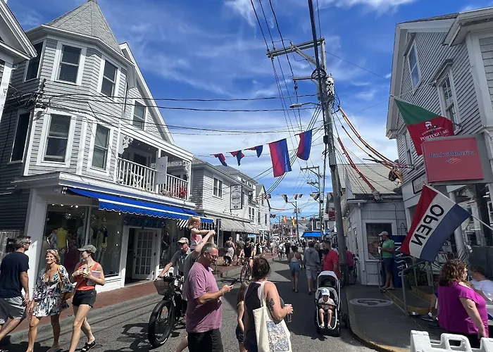 Lotus Provincetown