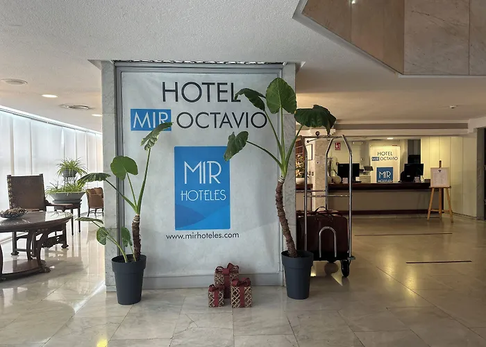 Mir Octavio