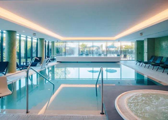 Perros hoteles Melia Braga & Spa
