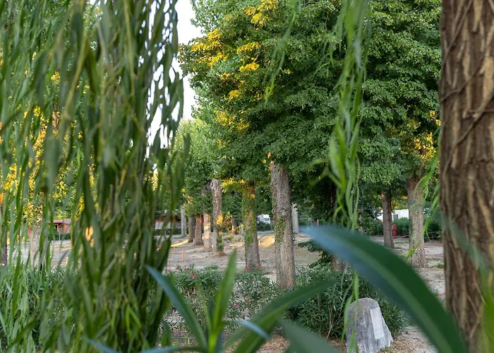 Tiber