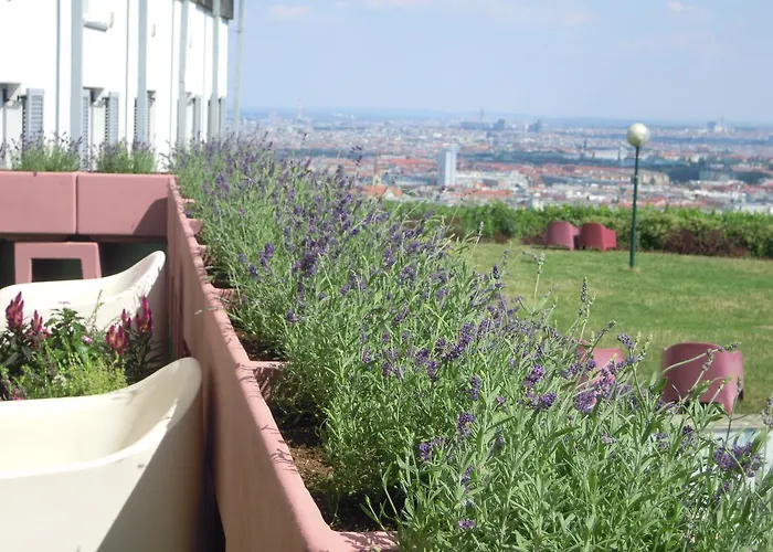Hotel nahe College: Palace Hostel Vienna
