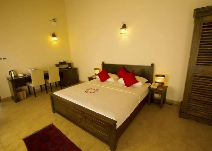 Pet Friendly hotel: Ellen'S Place