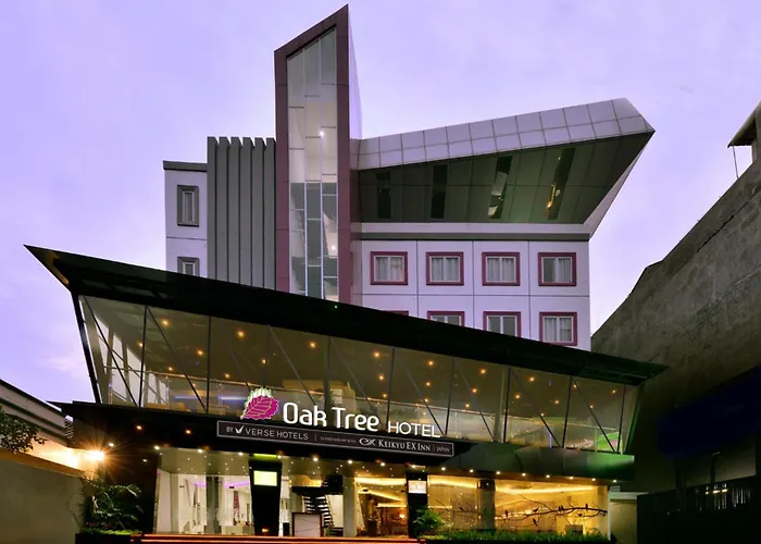 Oak Tree Urban
