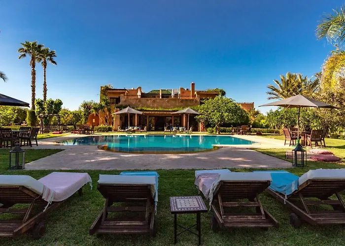 L'Oliveraie De L'Atlas