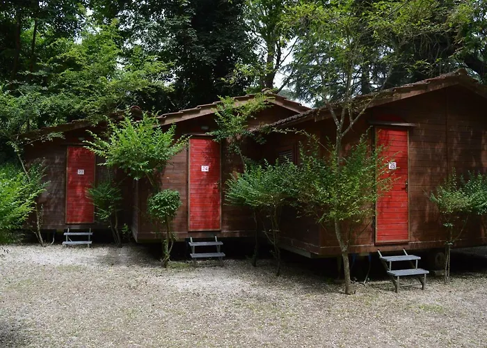 Hôtel accueillant les animaux: Seven Hills Village
