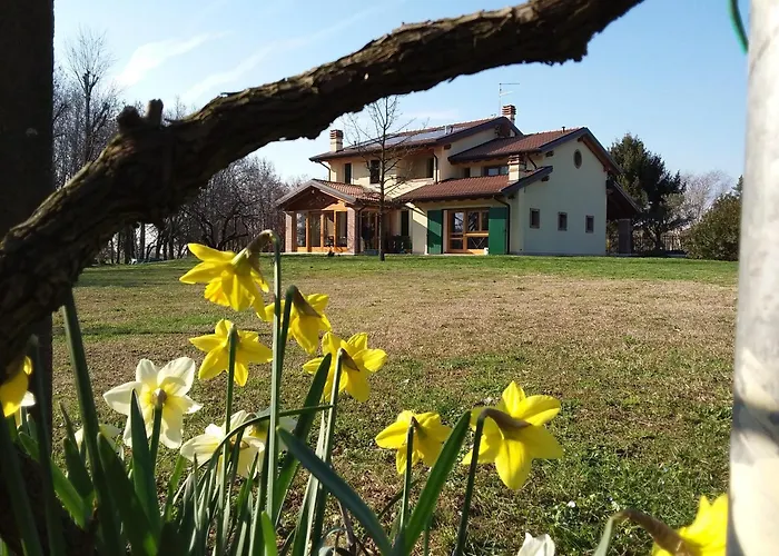 “Al Campo”