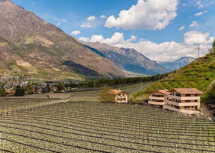 Ferienvermietung: El Paradiso