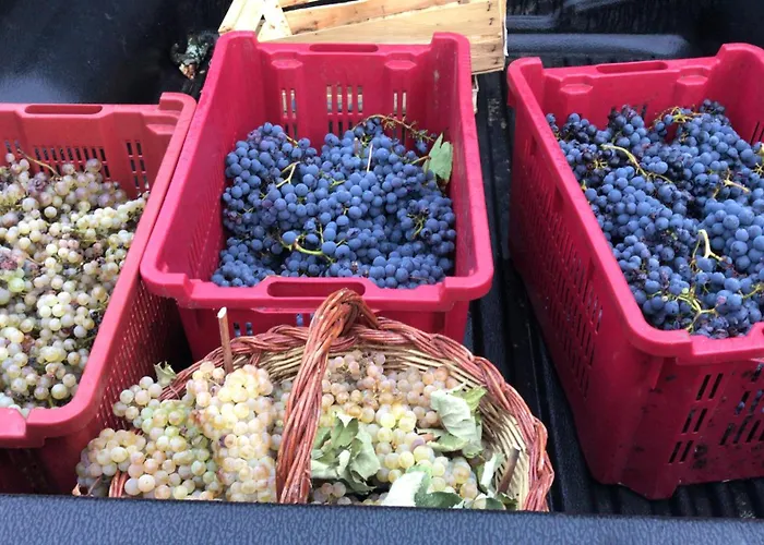 Vacation rental: Castello Di Valenzano