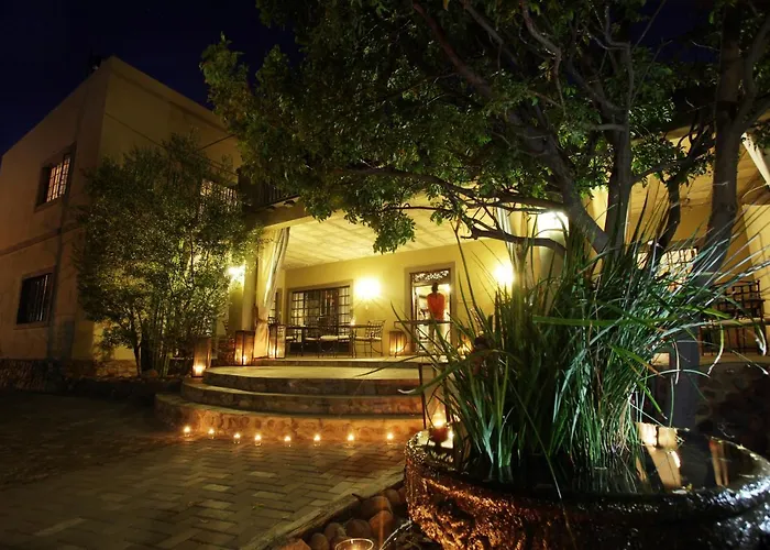 Olive Grove Guesthouse