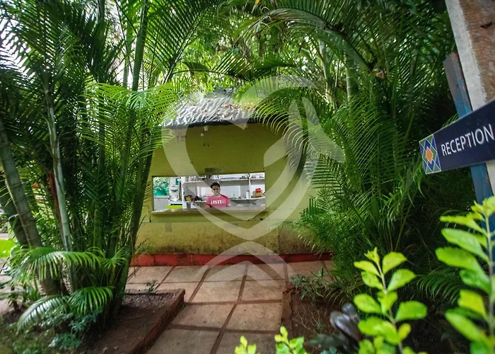 Hotel suites Zulu Land Cottages - Near Curlies Beach Shack And Shiva Valley - Anjuna Beach